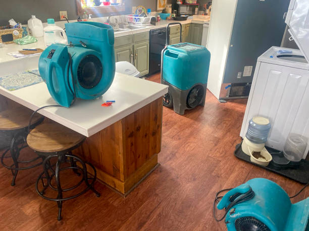 Best Local water damage restoration  in Palmyra, NJ