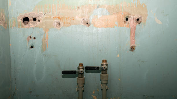 Best Fire Damage Restoration  in Palmyra, NJ